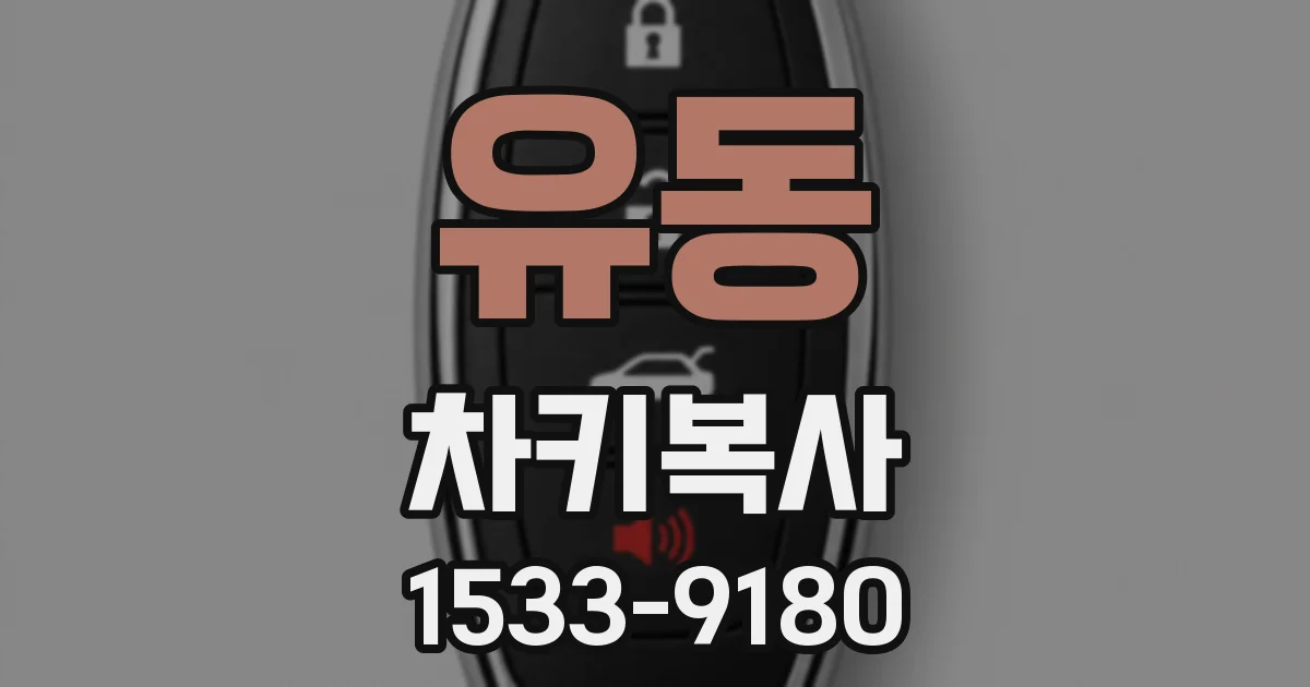 유동 차키복사