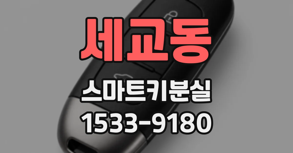 세교동 스마트키분실