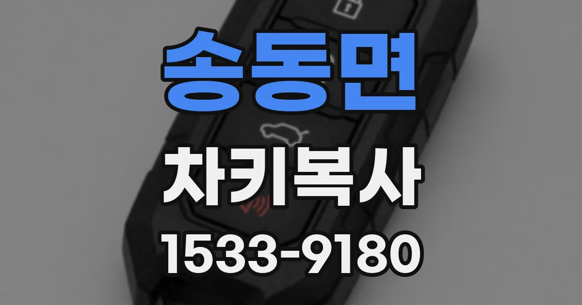 송동면 차키복사