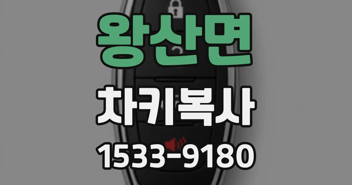 왕산면 차키복사
