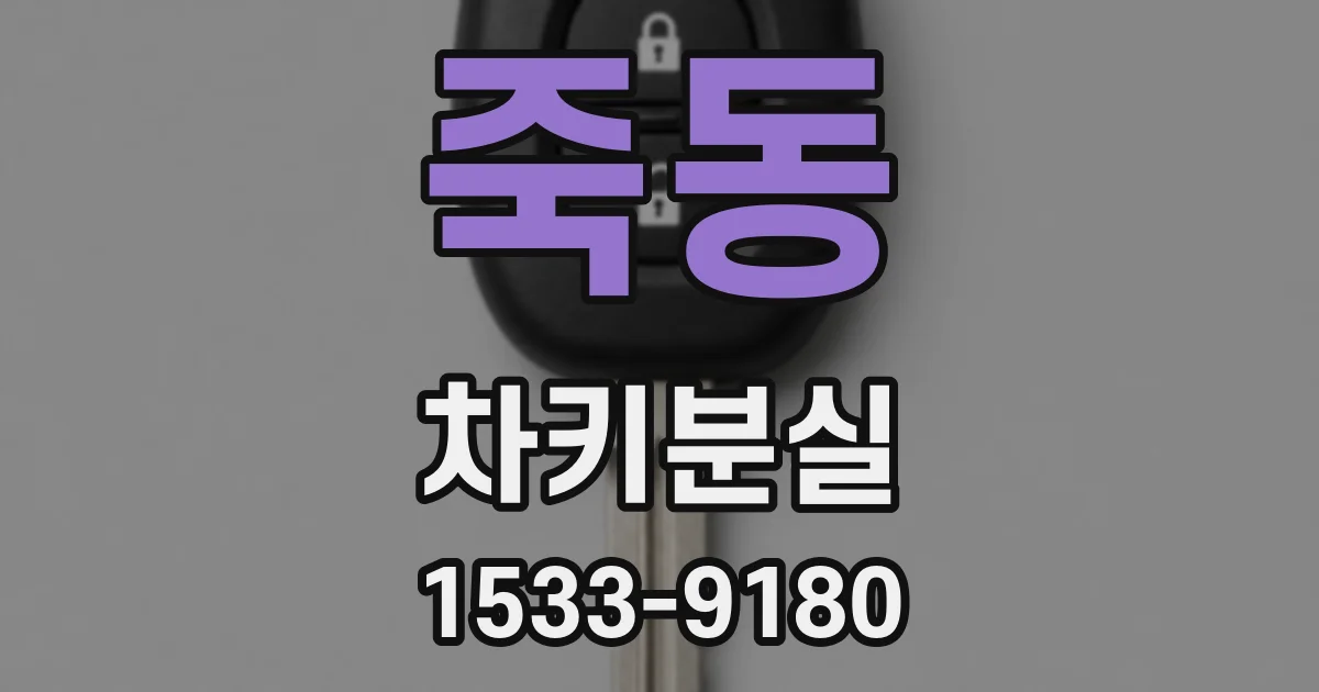죽동 차키분실