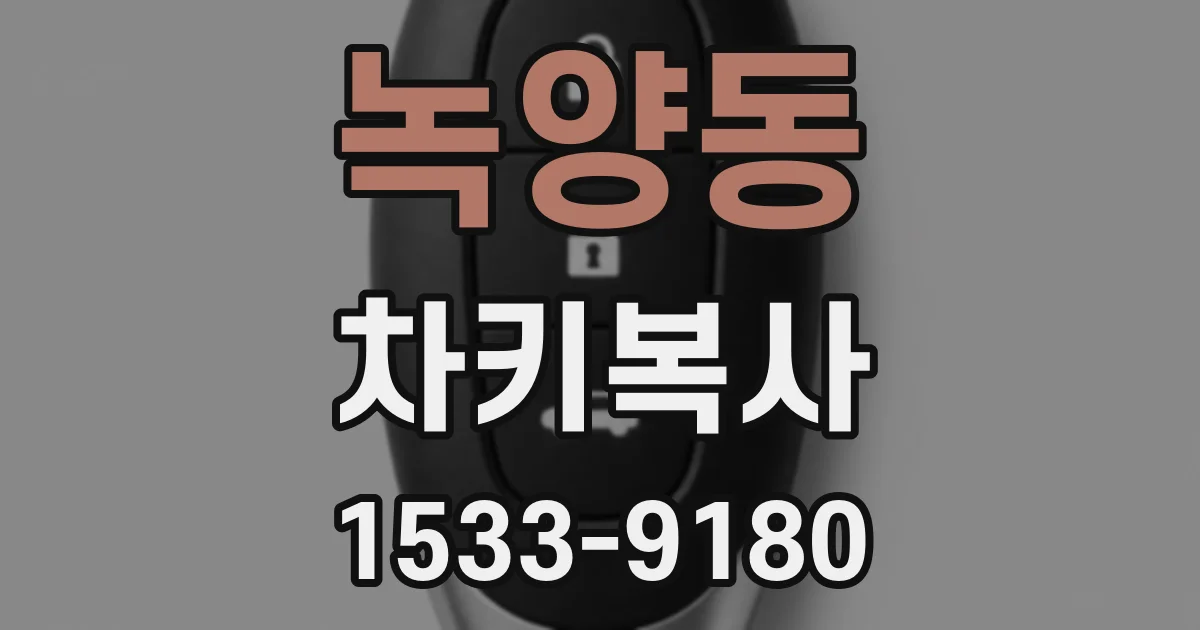 녹양동 차키복사