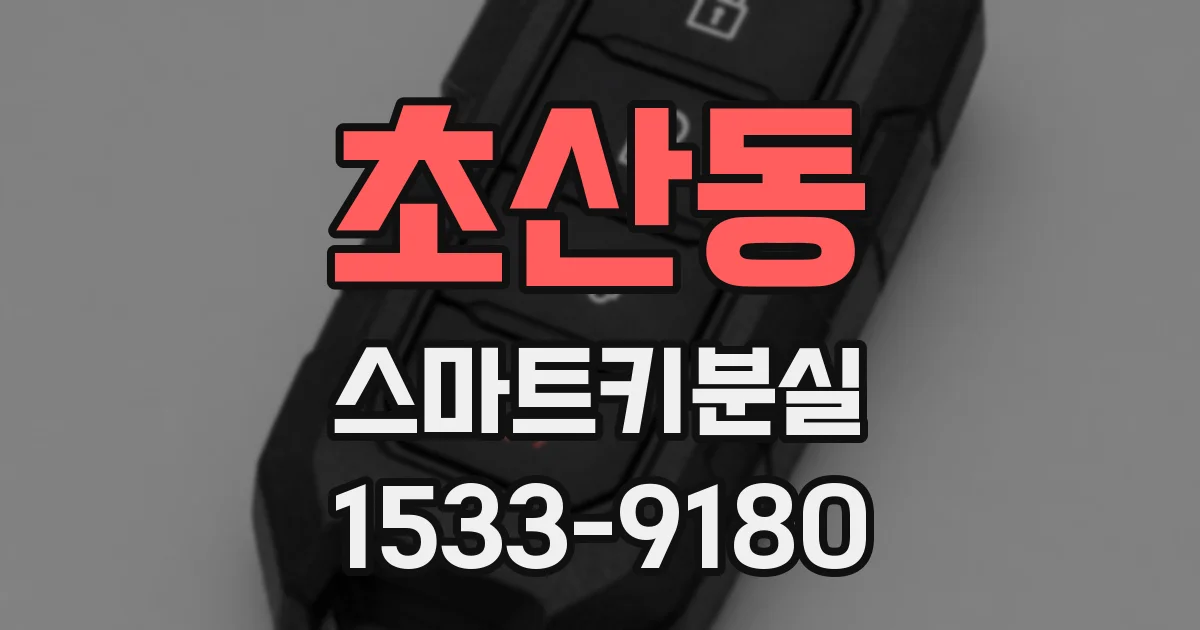 초산동 스마트키분실