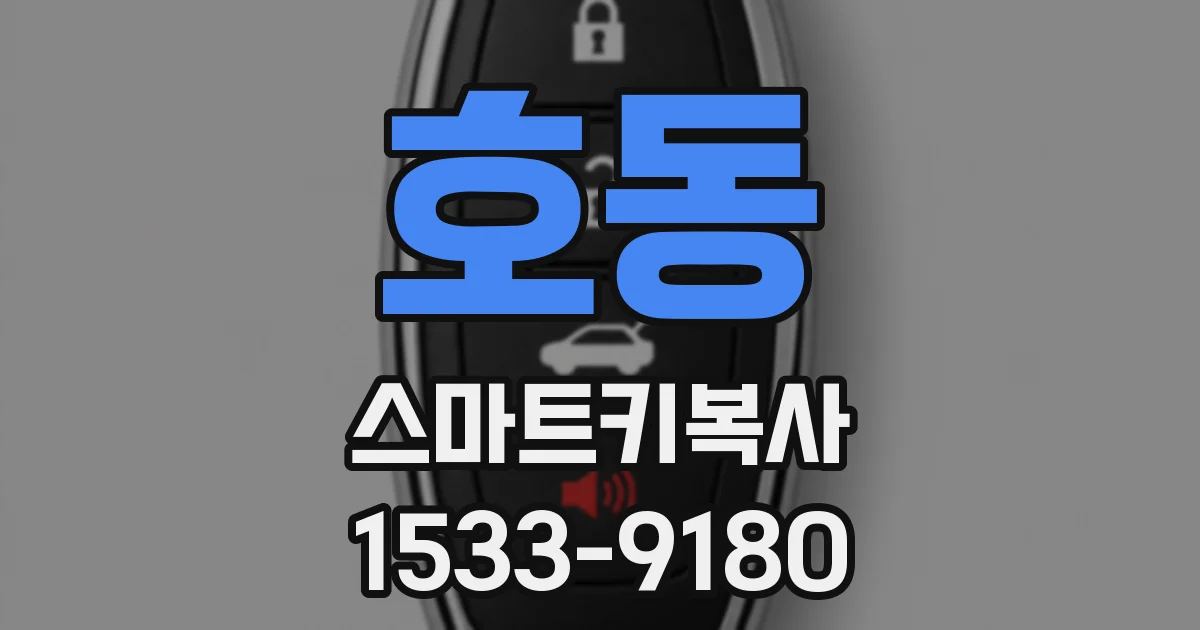 호동 스마트키복사