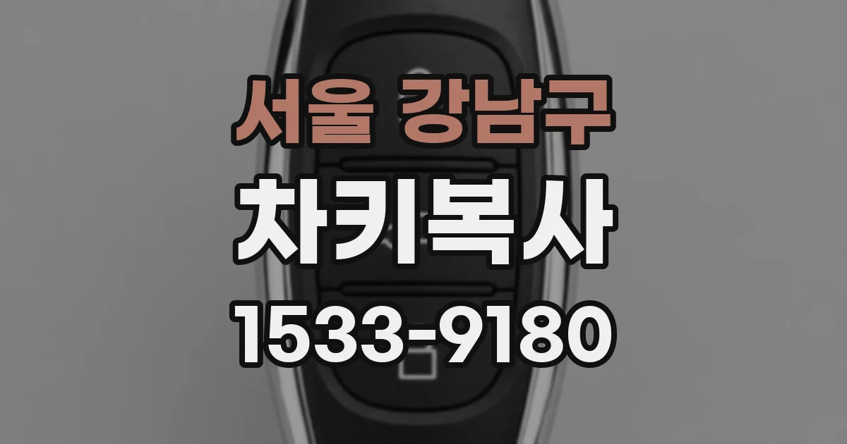 서울 강남구 차키복사