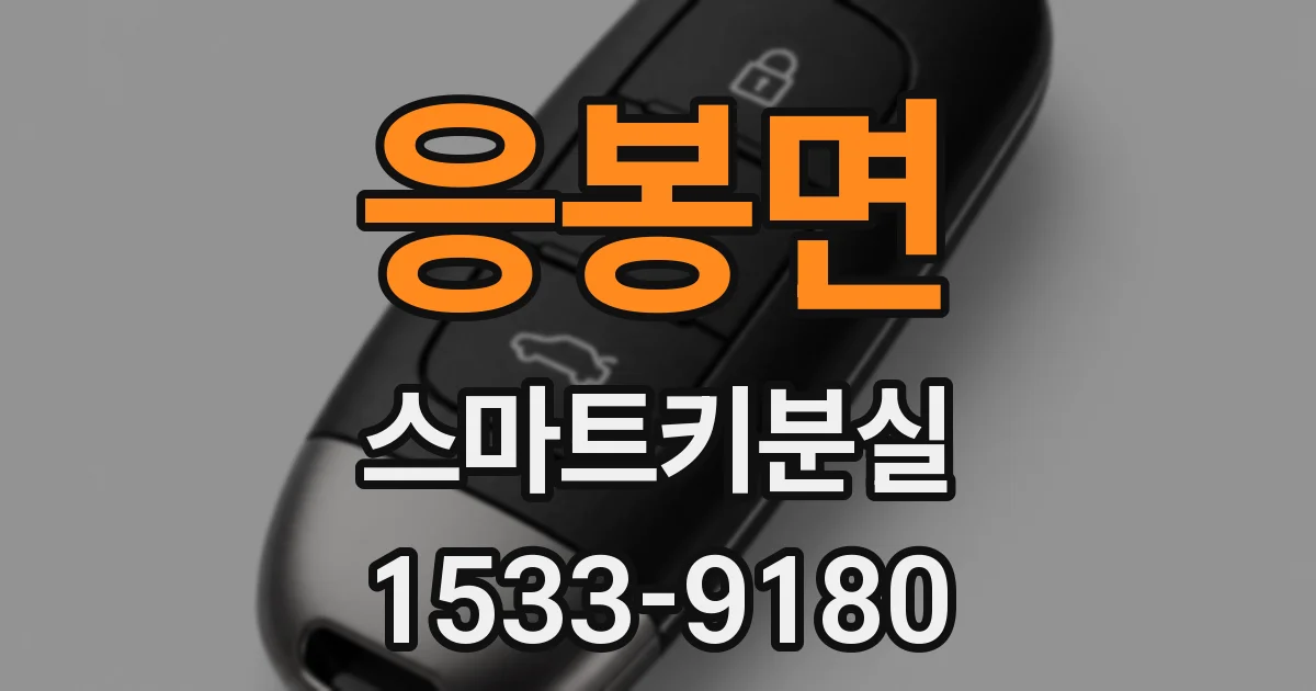 응봉면 스마트키분실