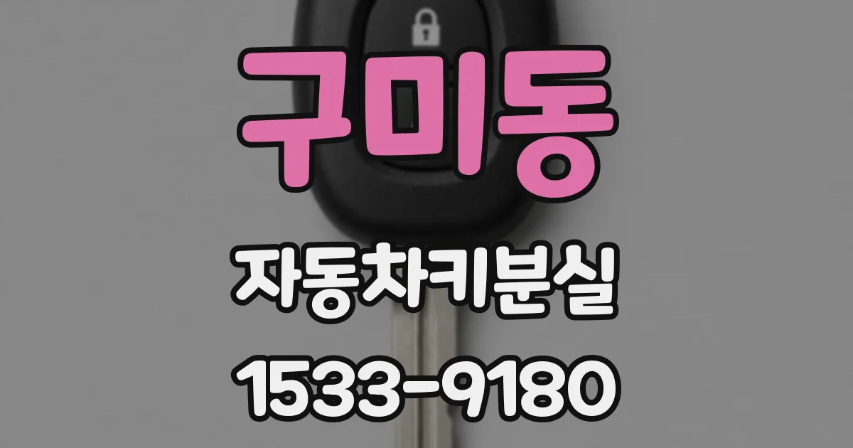 구미동 자동차키분실