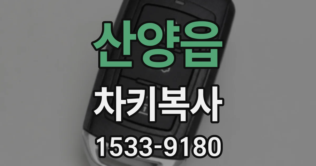 산양읍 차키복사