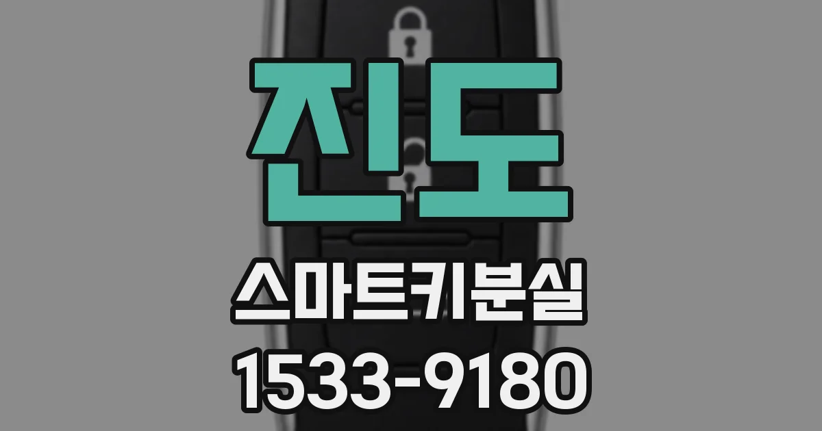 진도 스마트키분실