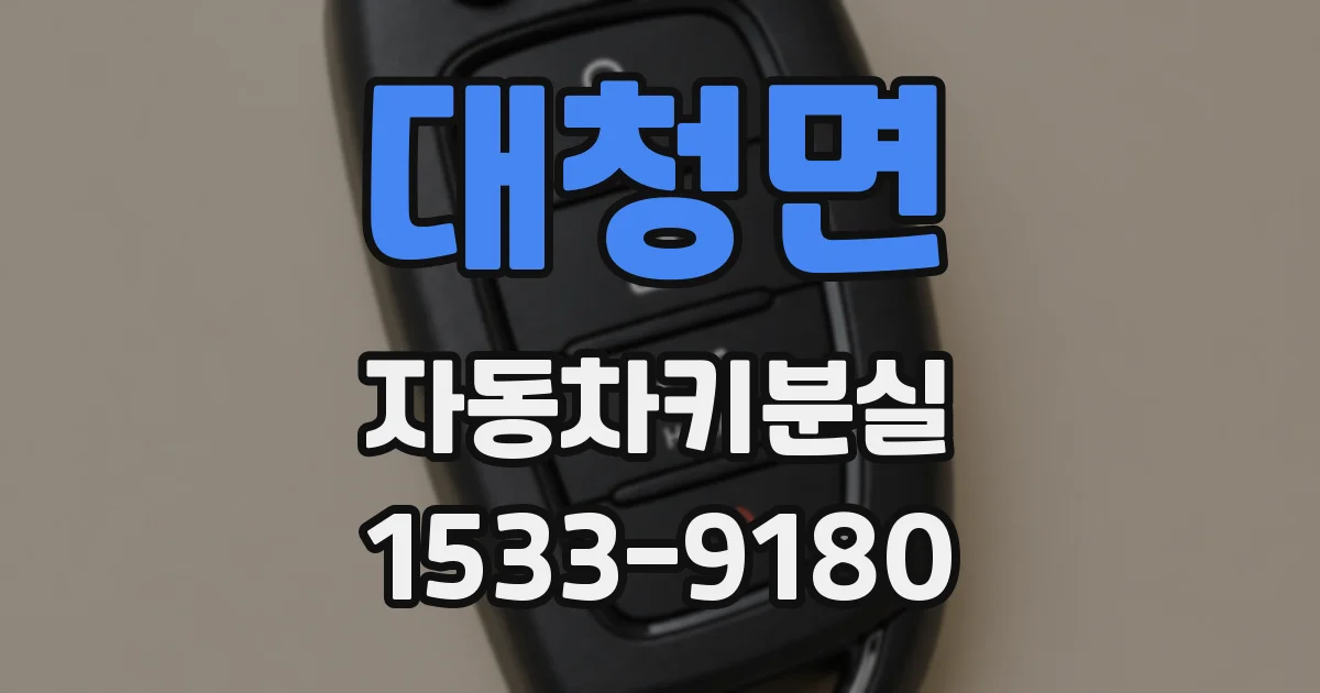 대청면 자동차키분실