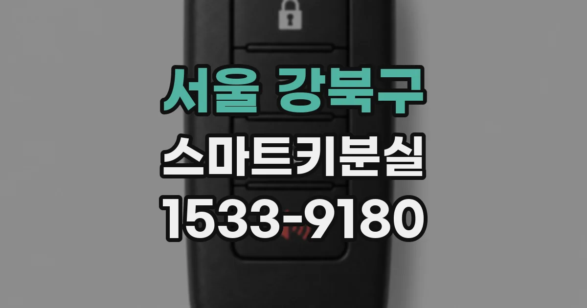 서울 강북구 스마트키분실
