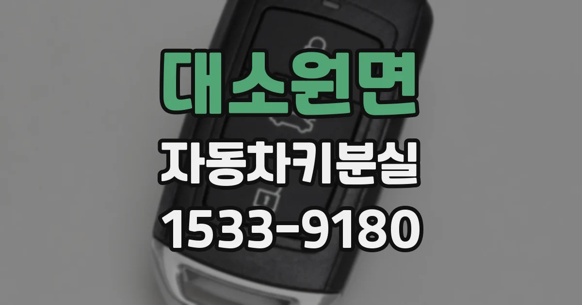 대소원면 자동차키분실