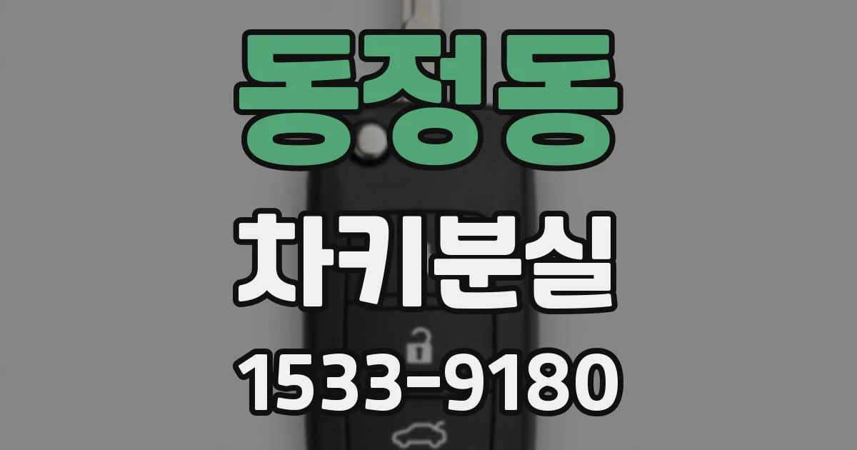 동정동 차키분실