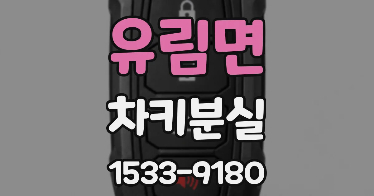 유림면 차키분실