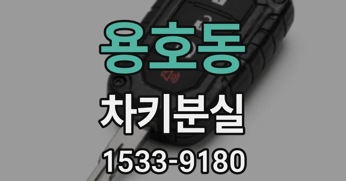 용호동 차키분실