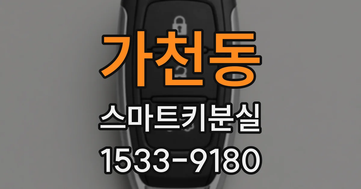 가천동 스마트키분실