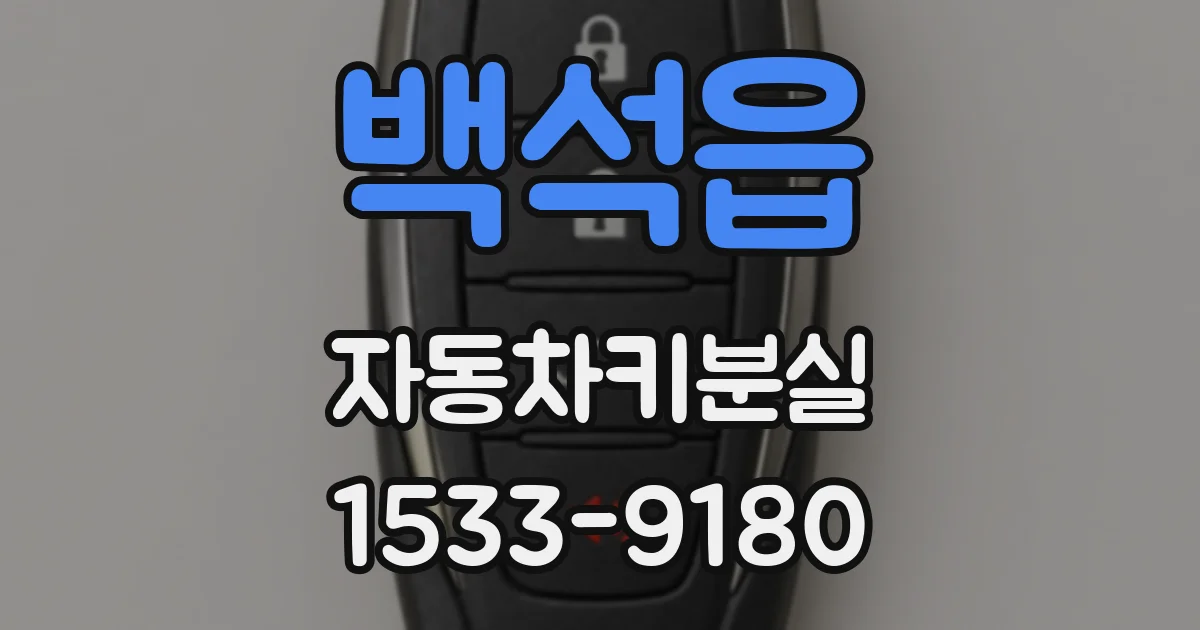 백석읍 자동차키분실