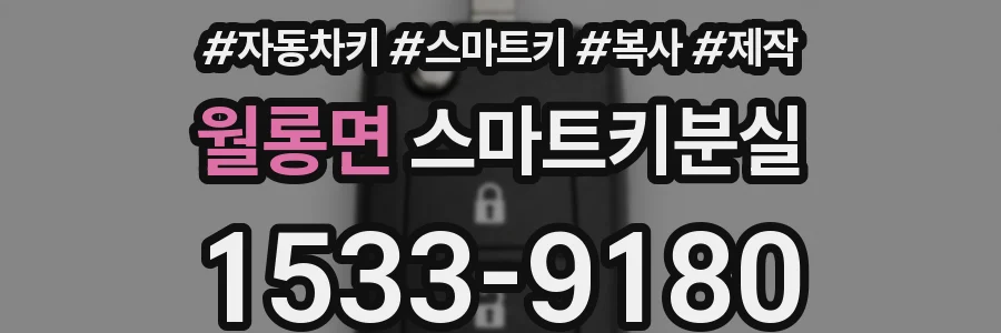 월롱면 스마트키분실
