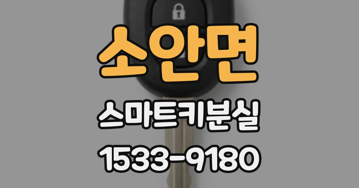 소안면 스마트키분실