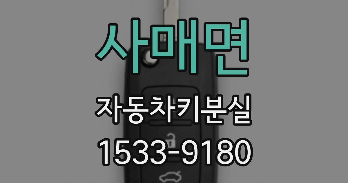 사매면 자동차키분실