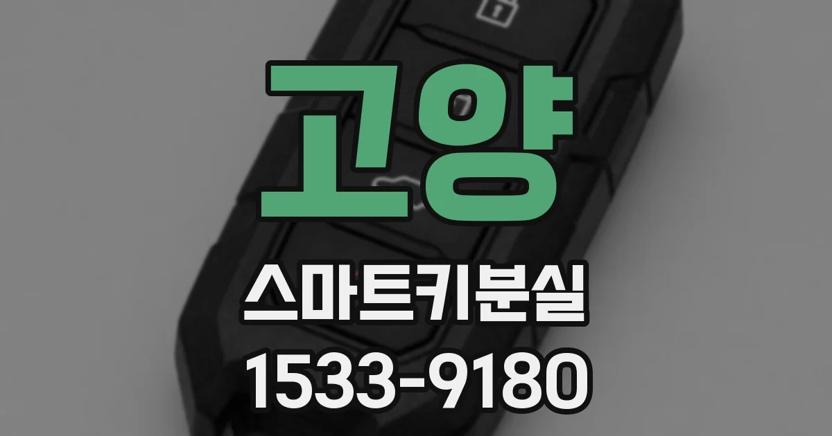 고양 스마트키분실