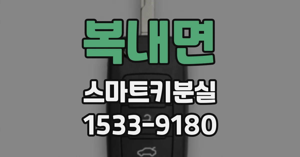 복내면 스마트키분실