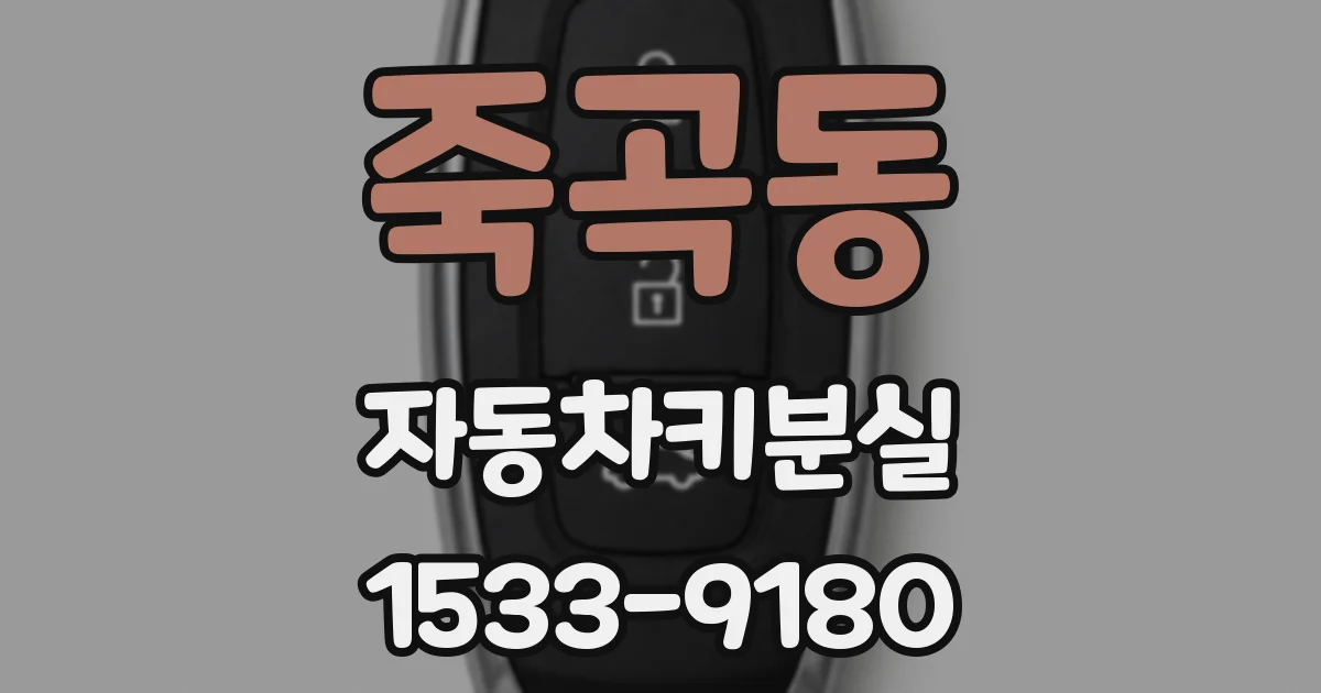 죽곡동 자동차키분실