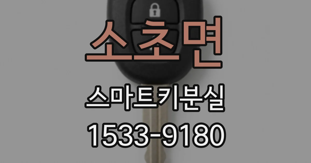 소초면 스마트키분실