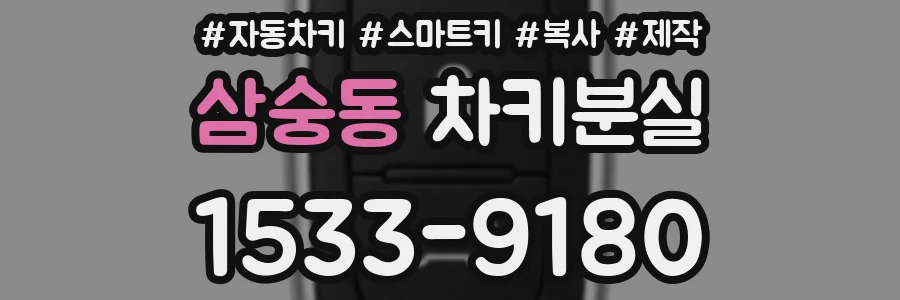 삼숭동 차키분실