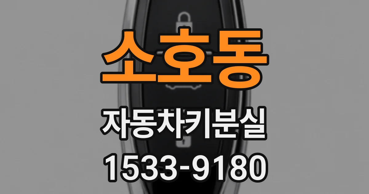 소호동 자동차키분실