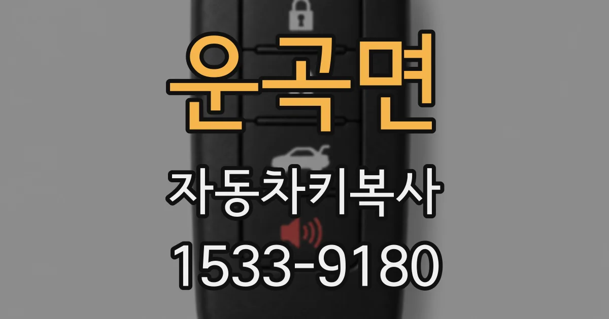 운곡면 자동차키복사