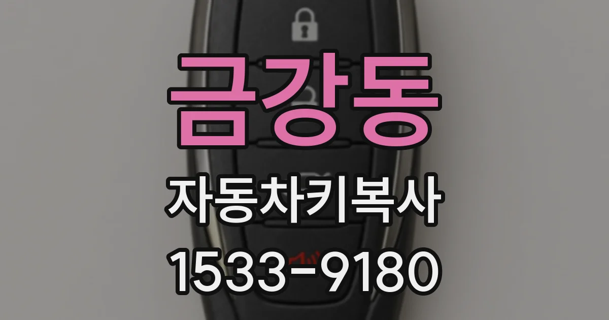 금강동 자동차키복사