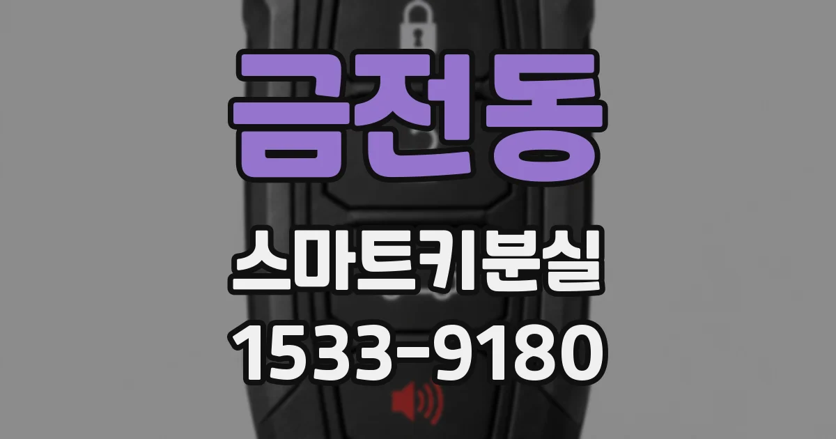 금전동 스마트키분실