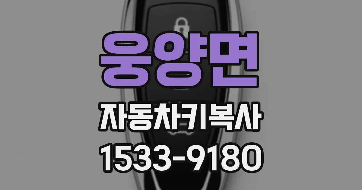 웅양면 자동차키복사