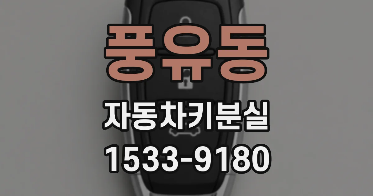 풍유동 자동차키분실