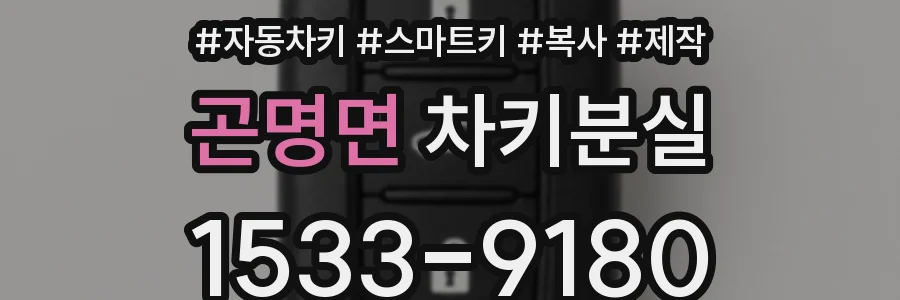 곤명면 차키분실