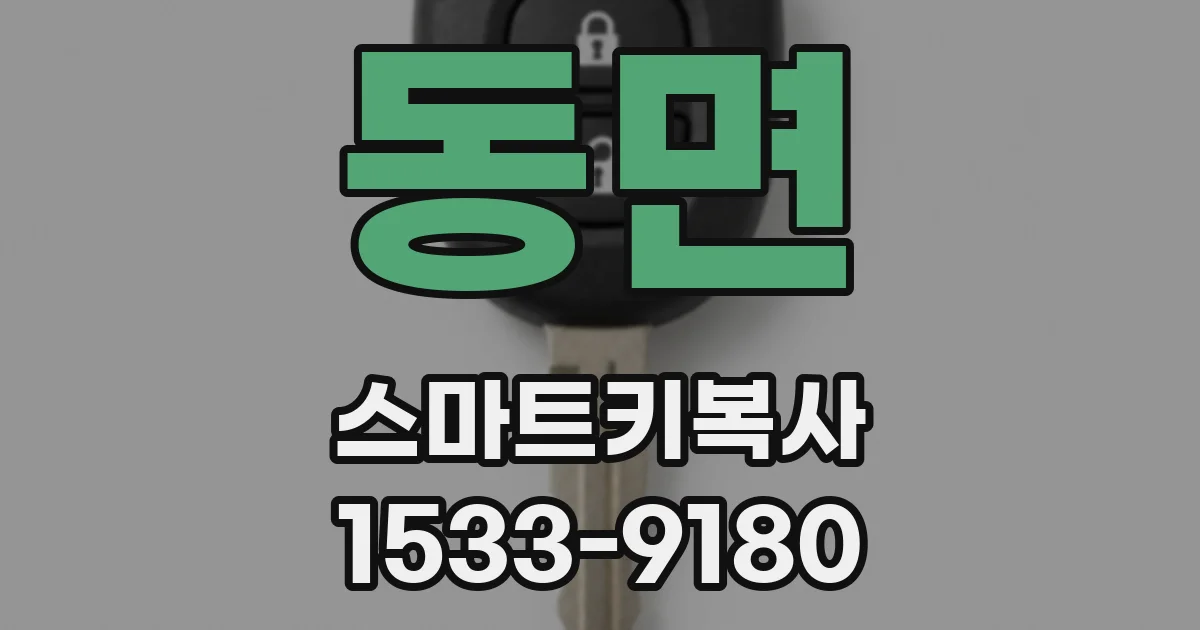 동면 스마트키복사