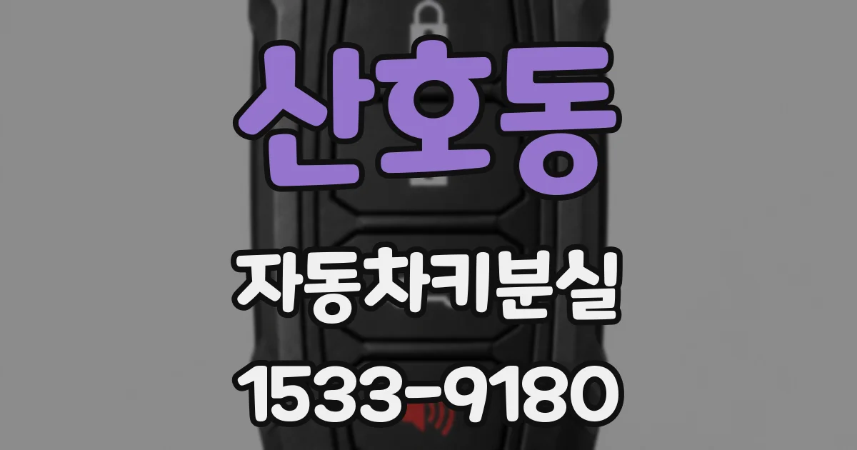 산호동 자동차키분실
