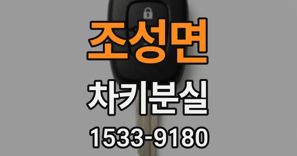 조성면 차키분실