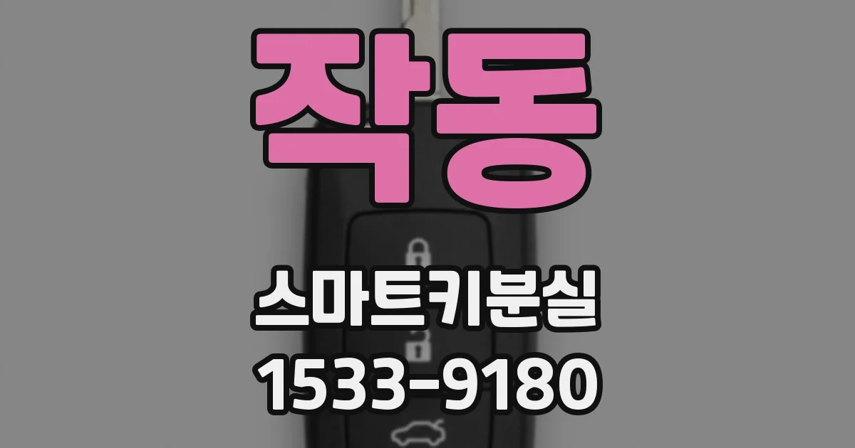 작동 스마트키분실