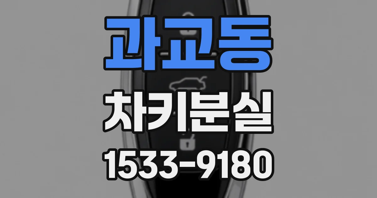 과교동 차키분실