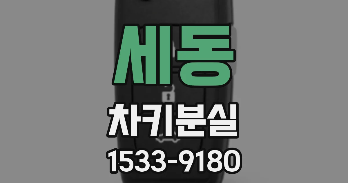 세동 차키분실