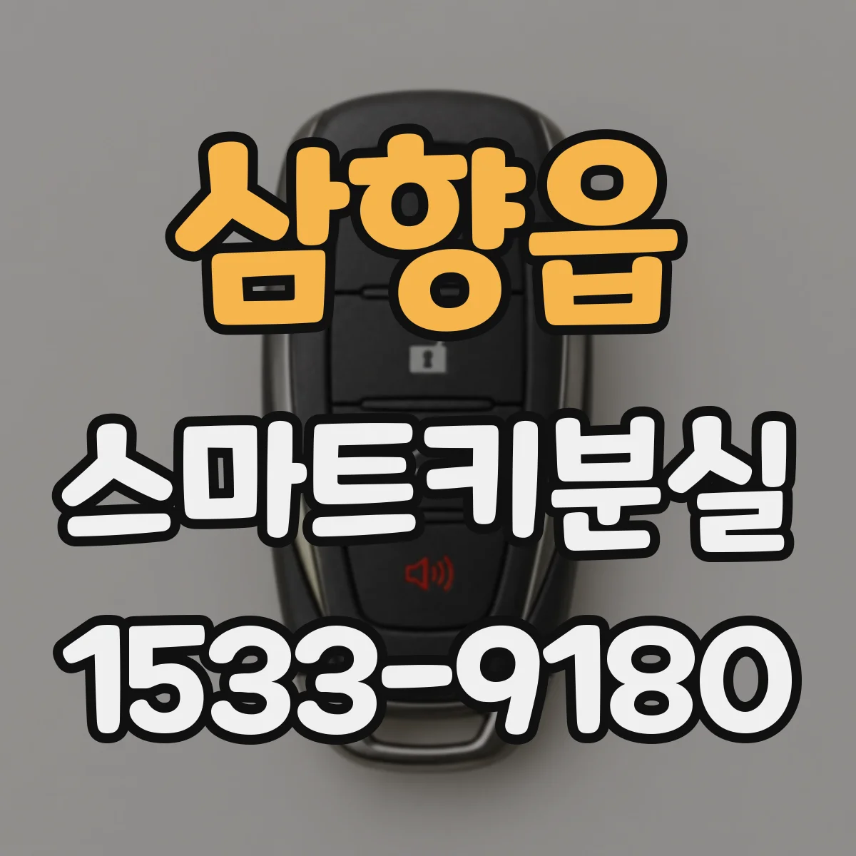 삼향읍 스마트키분실