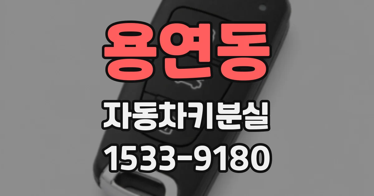 용연동 자동차키분실