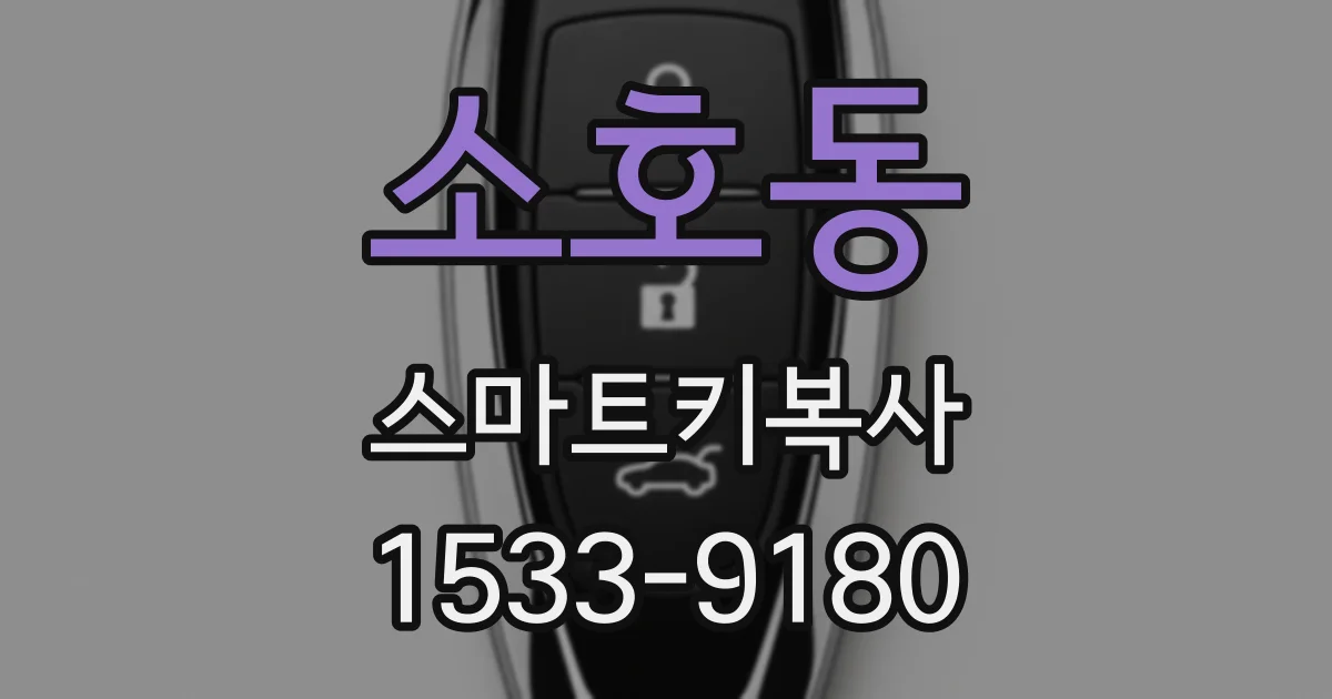 소호동 스마트키복사