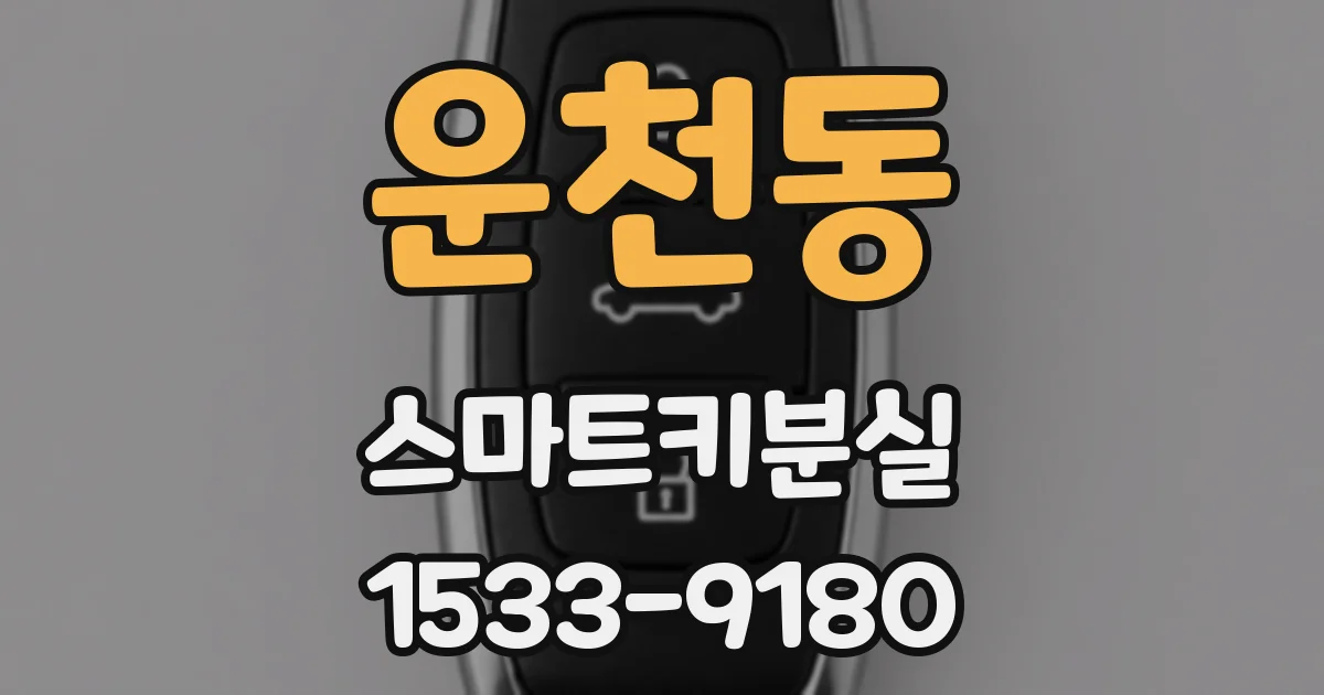 운천동 스마트키분실