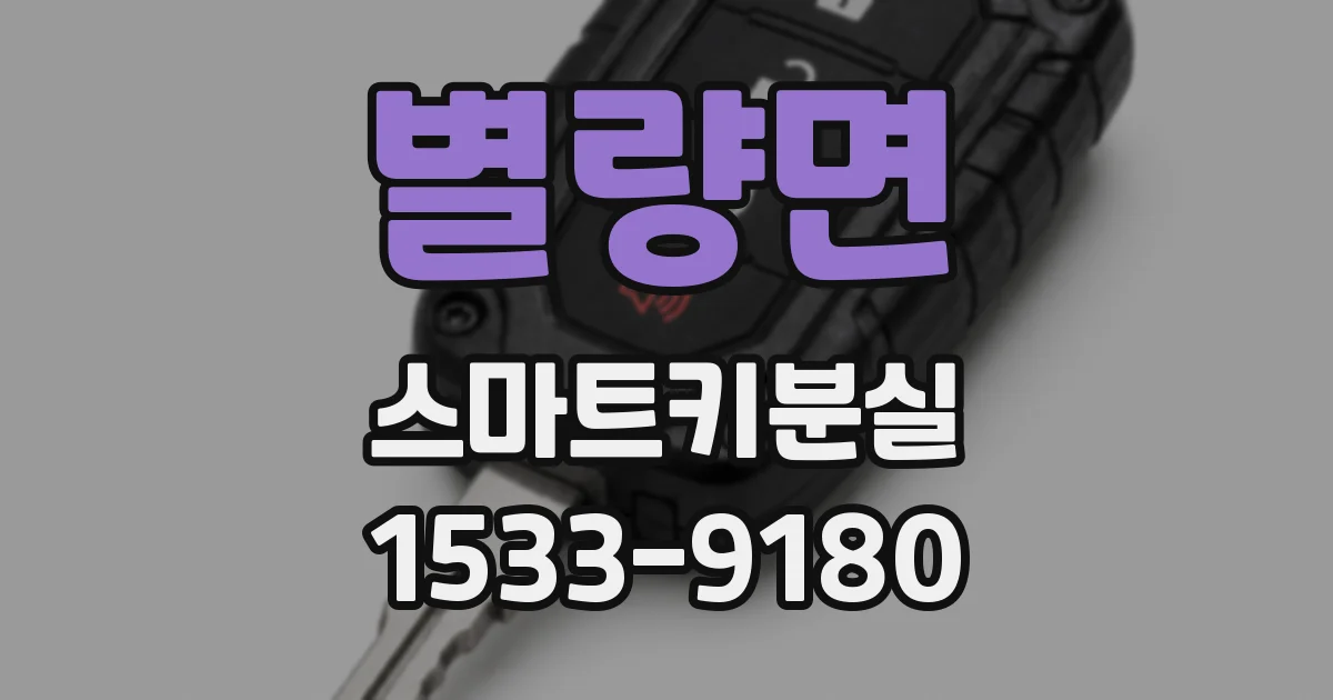 별량면 스마트키분실