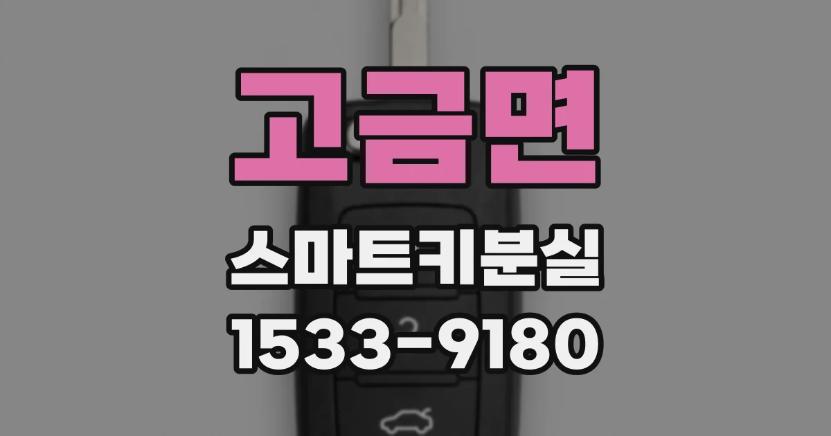 고금면 스마트키분실