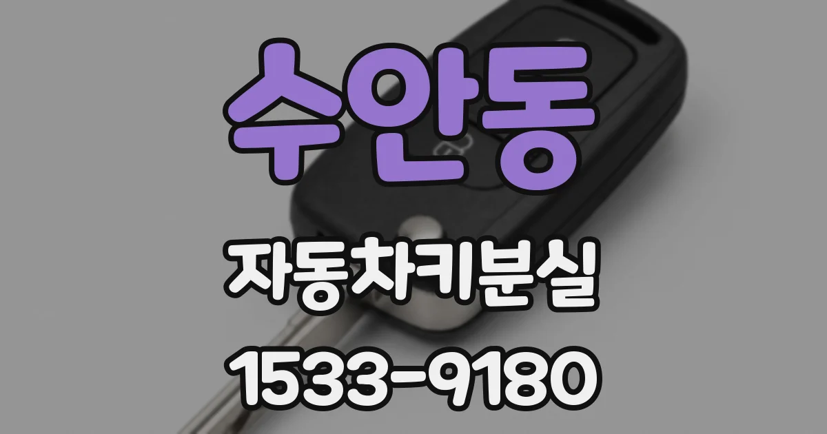 수안동 자동차키분실