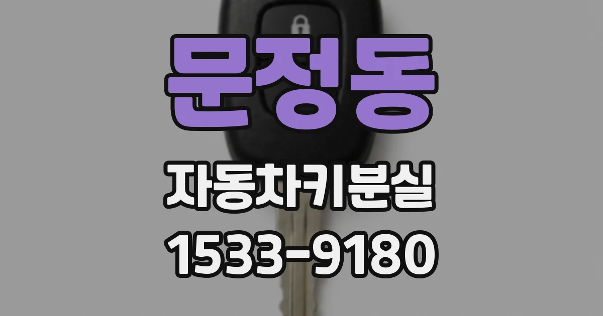 문정동 자동차키분실